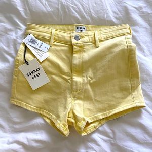 Aritzia Sunday Best Shorts